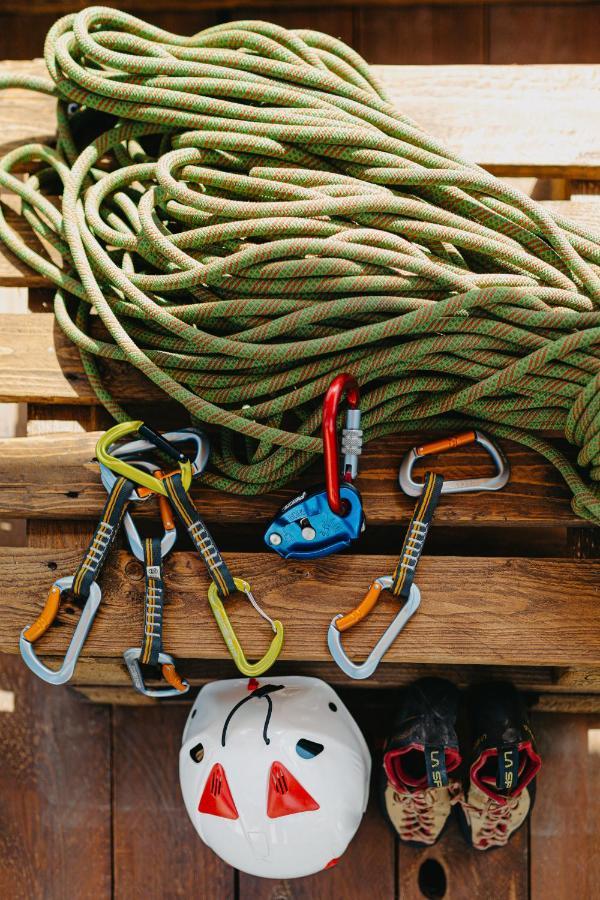 La Tana Del Lupo B&B, Family And Outdoor Sports Borgo Valsugana Eksteriør billede